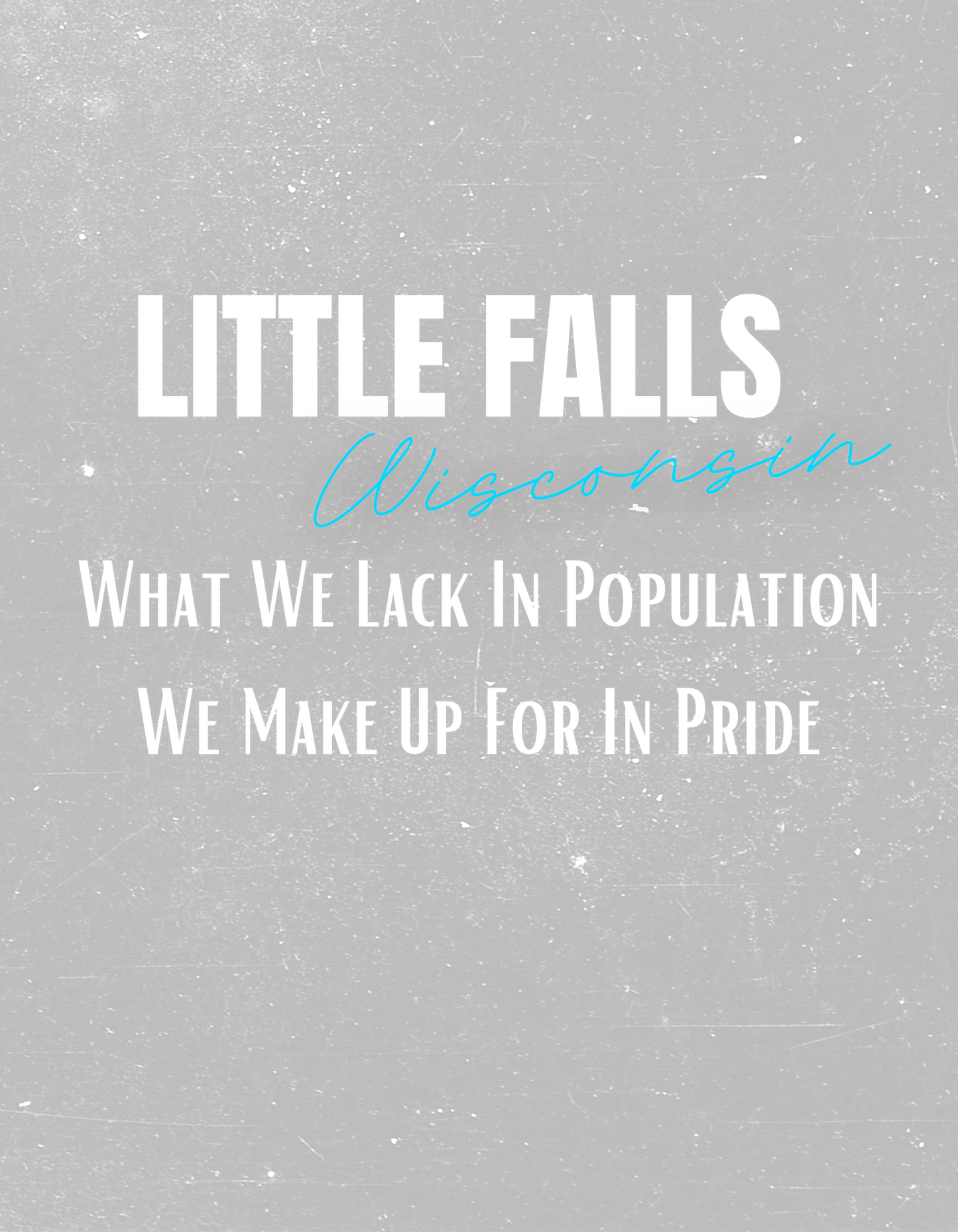 Little Falls Stainless steel tumbler